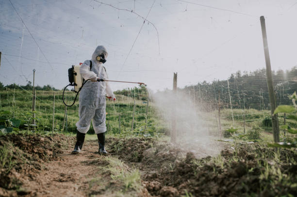 Best Affordable Pest Control Services  in Yelm, WA