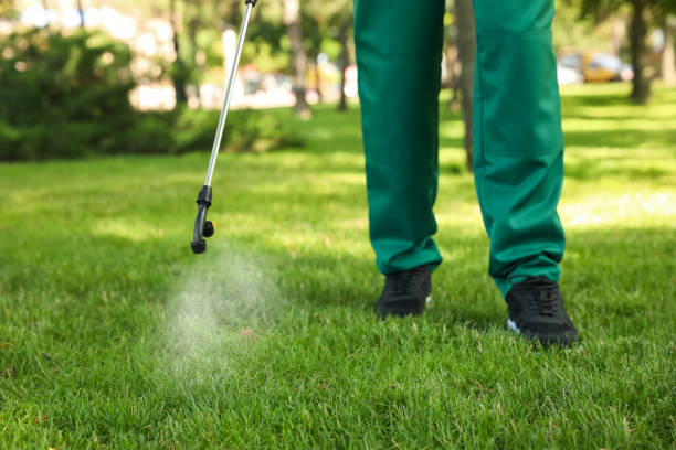 Trusted Yelm, WA Pest Control Experts